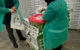 Cele 12 percheziții de miercuri la companiile importatoare de carne au vizat circa 480 tone de marfă congelată